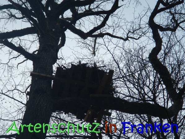 Copyright AiS Klaus Weidner Bild zum Eintrag (64279-160)