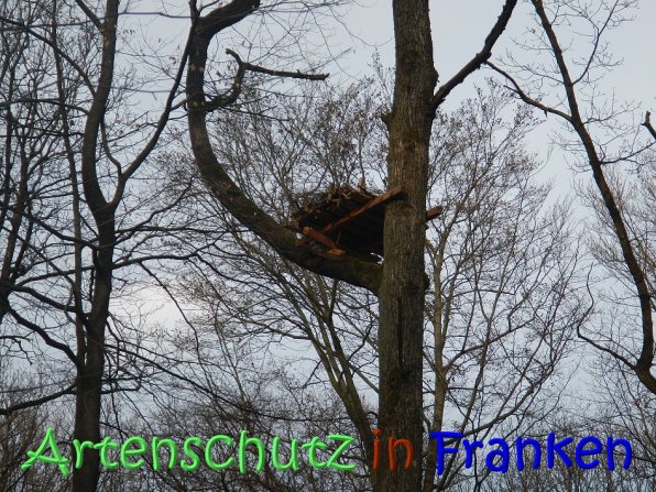 Copyright AiS Klaus Weidner Bild zum Eintrag (64280-160)
