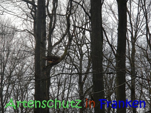 Copyright AiS Klaus Weidner Bild zum Eintrag (64281-160)