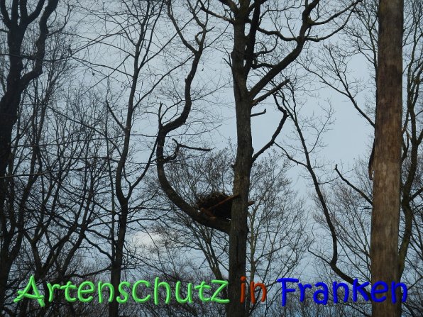 Copyright AiS Klaus Weidner Bild zum Eintrag (64282-160)