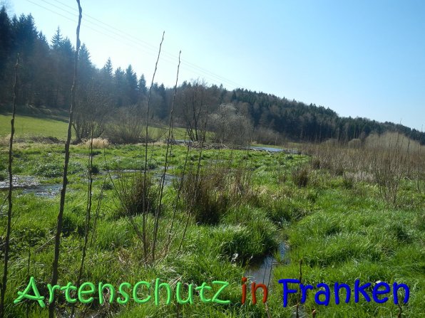 Copyright AiS Seidelmann Bild zum Eintrag (64286-160)