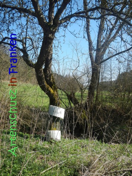 Copyright AiS Seidelmann Bild zum Eintrag (64288-160)