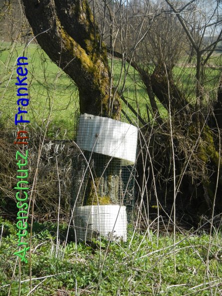 Copyright AiS Seidelmann Bild zum Eintrag (64289-160)