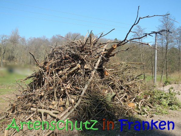 Copyright AiS Seidelmann Bild zum Eintrag (64290-160)