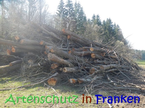 Copyright AiS Seidelmann Bild zum Eintrag (64292-160)