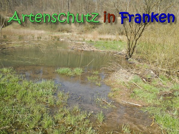 Copyright AiS Seidelmann Bild zum Eintrag (64296-160)