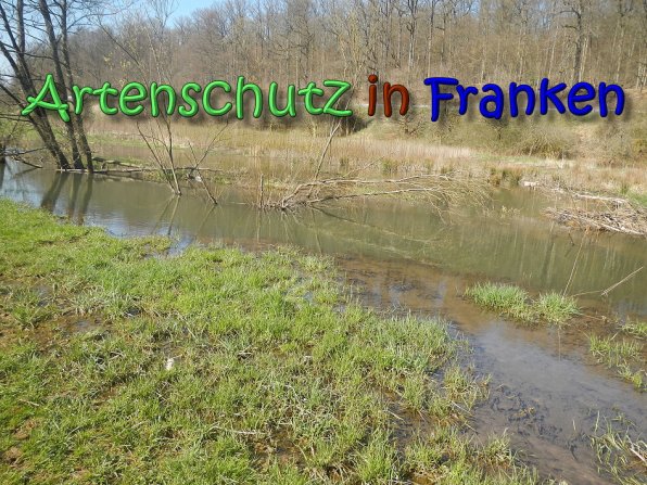 Copyright AiS Seidelmann Bild zum Eintrag (64297-160)