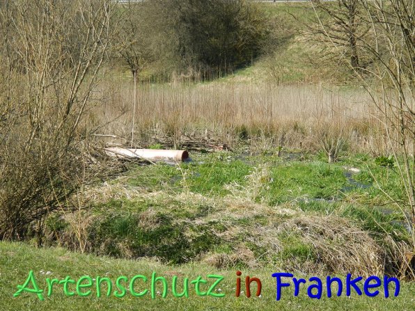 Copyright AiS Seidelmann Bild zum Eintrag (64298-160)