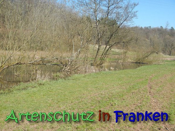 Copyright AiS Seidelmann Bild zum Eintrag (64301-160)