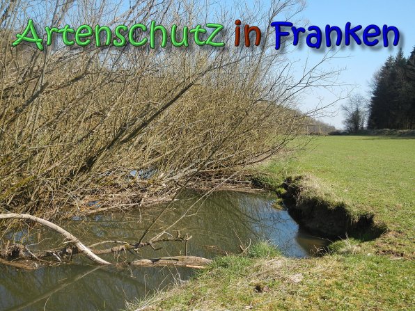 Copyright AiS Seidelmann Bild zum Eintrag (64302-160)