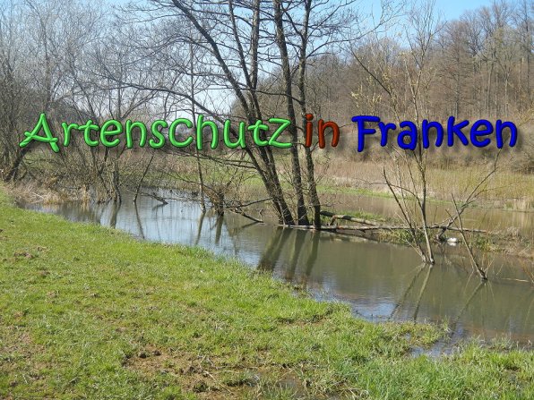 Copyright AiS Seidelmann Bild zum Eintrag (64303-160)
