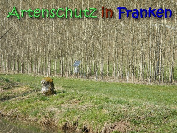 Copyright AiS Seidelmann Bild zum Eintrag (64304-160)