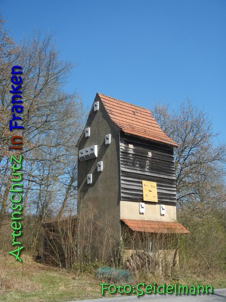 Copyright AiS Seidelmann Bild zum Eintrag (64322-160)