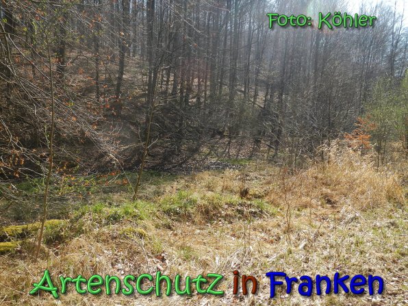 Bild zum Eintrag (64343-160)