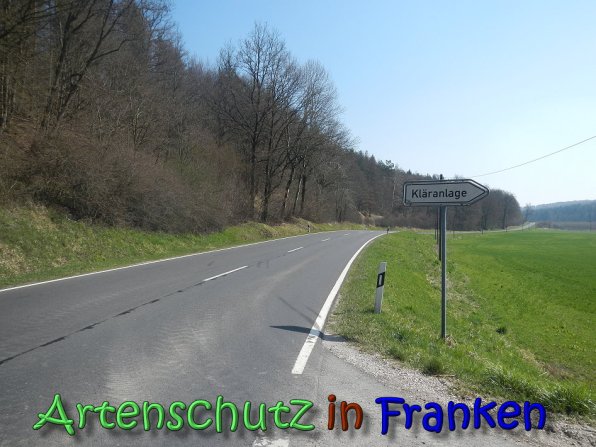 Copyright AiS Köhler Bild zum Eintrag (64363-160)
