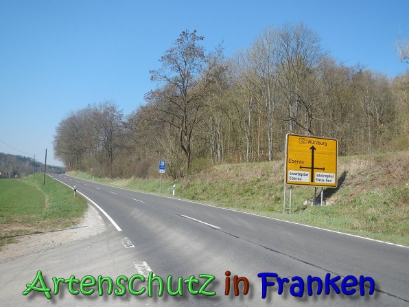 Copyright AiS Köhler Bild zum Eintrag (64364-160)