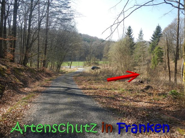 Copyright AiS Köhler Bild zum Eintrag (64370-160)