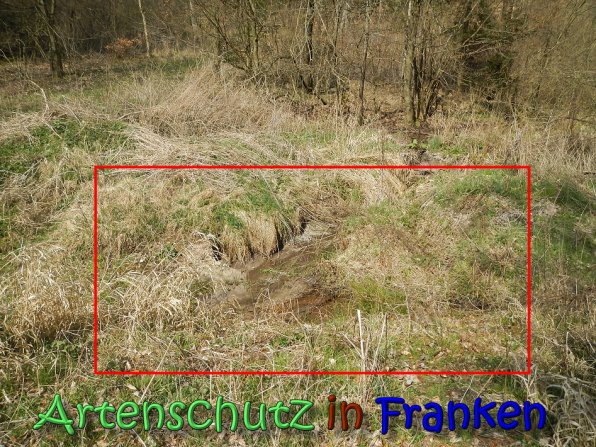 Copyright AiS Köhler Bild zum Eintrag (64371-160)