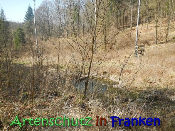 Copyright AiS Köhler Bild zum Eintrag (64372-160)
