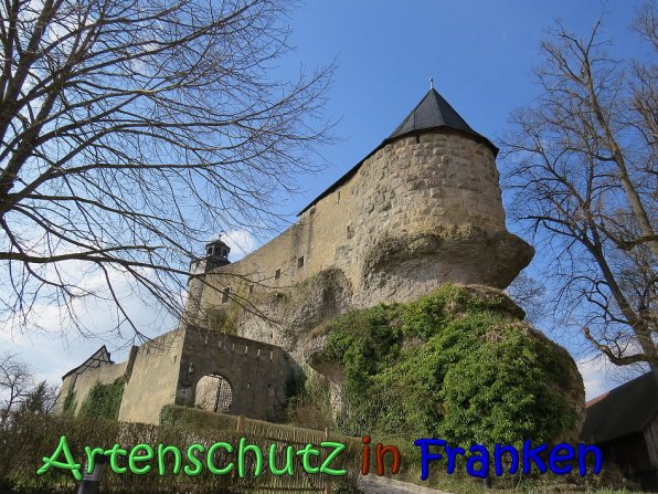 Copyright AiS Klaus Weidner Bild zum Eintrag (64385-160)