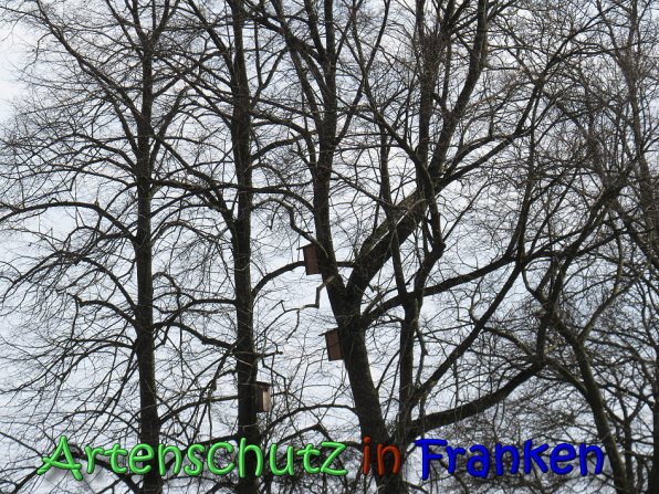 Copyright AiS Klaus Weidner Bild zum Eintrag (64387-160)