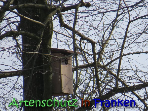 Copyright AiS Klaus Weidner Bild zum Eintrag (64389-160)