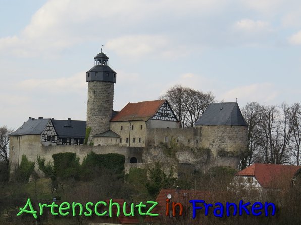 Copyright AiS Klaus Weidner Bild zum Eintrag (64393-160)