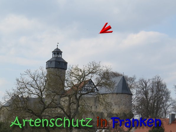 Copyright AiS Klaus Weidner Bild zum Eintrag (64394-160)