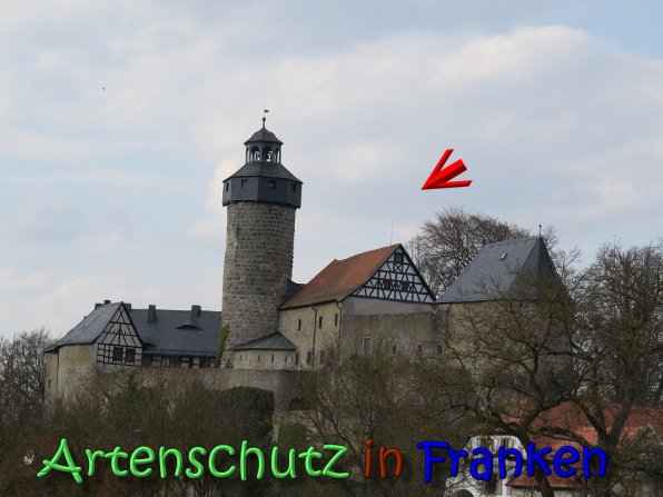 Copyright AiS Klaus Weidner Bild zum Eintrag (64395-160)