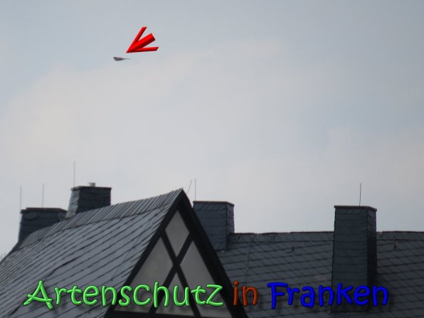 Copyright AiS Klaus Weidner Bild zum Eintrag (64396-160)