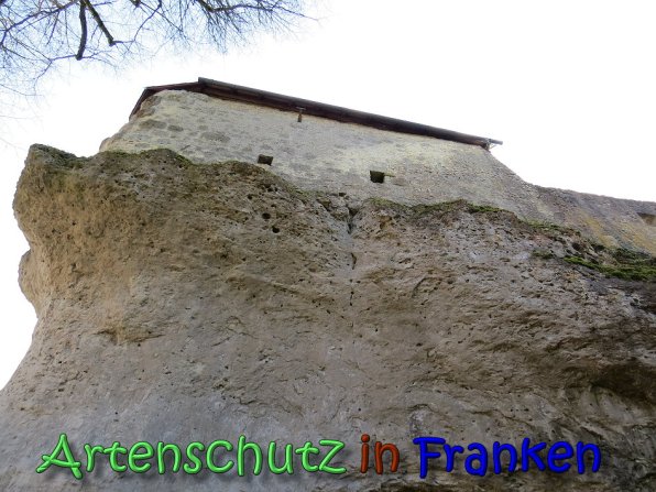 Copyright AiS Klaus Weidner Bild zum Eintrag (64398-160)