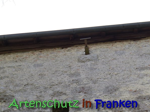 Copyright AiS Klaus Weidner Bild zum Eintrag (64399-160)