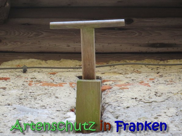 Copyright AiS Klaus Weidner Bild zum Eintrag (64400-160)