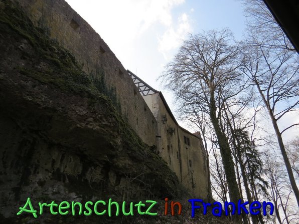 Copyright AiS Klaus Weidner Bild zum Eintrag (64401-160)