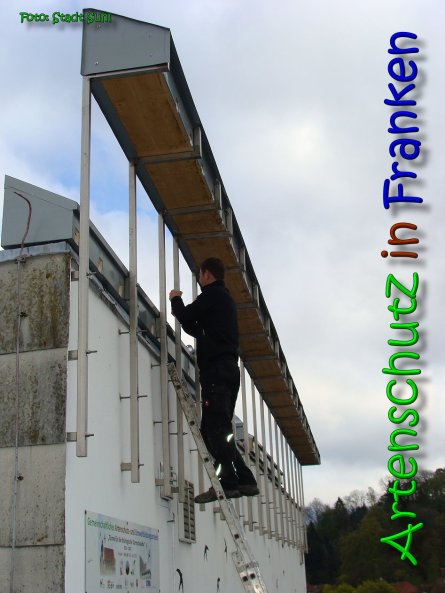 Copyright AiS Stadt Suhl Bild zum Eintrag (65357-160)