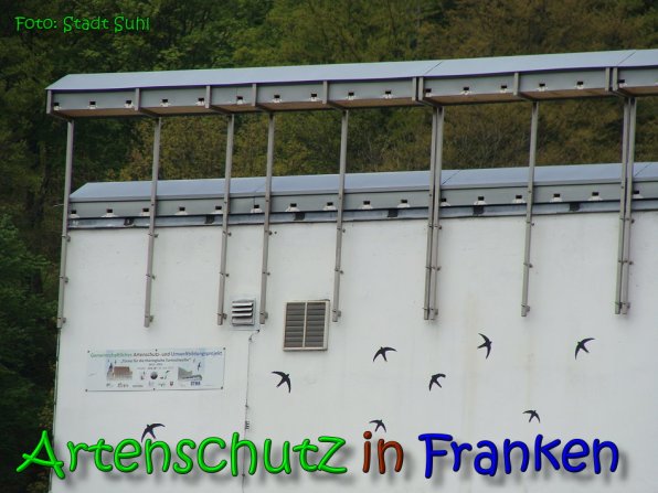 Copyright AiS Stadt Suhl Bild zum Eintrag (65403-160)