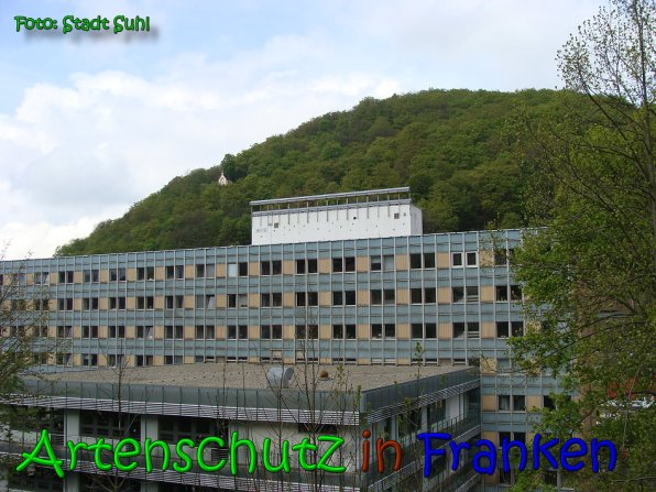 Copyright AiS Stadt Suhl Bild zum Eintrag (65404-160)