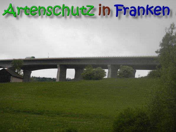 © Artenschutz in Franken® Bild zum Eintrag (65953-160)