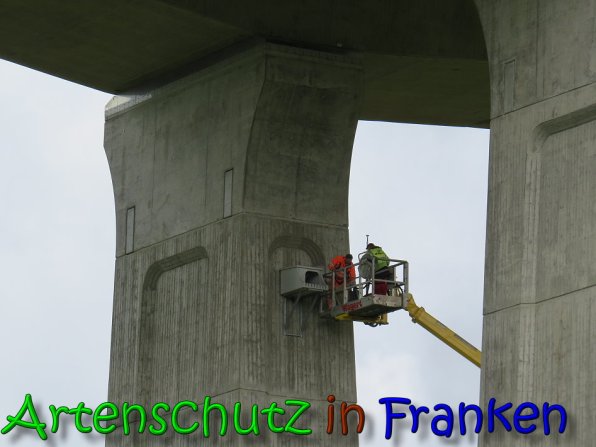 Bild zum Eintrag (65989-160)