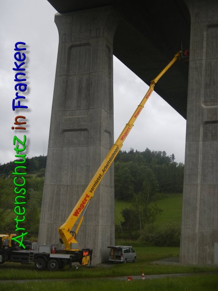 Bild zum Eintrag (65990-160)