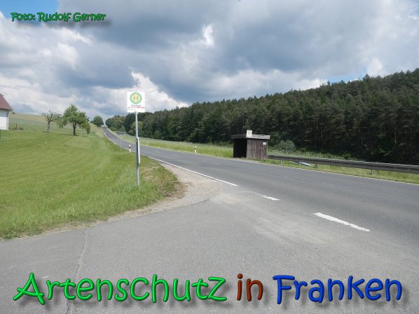 Copyright AiS Gerner Bild zum Eintrag (66507-160)