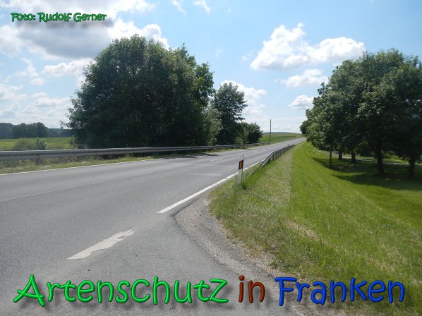 Copyright AiS Gerner Bild zum Eintrag (66509-160)