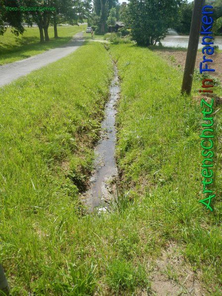Copyright AiS Gerner Bild zum Eintrag (66510-160)