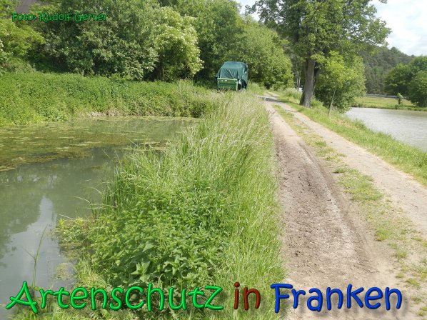 Copyright AiS Gerner Bild zum Eintrag (66511-160)