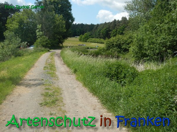 Copyright AiS Gerner Bild zum Eintrag (66512-160)
