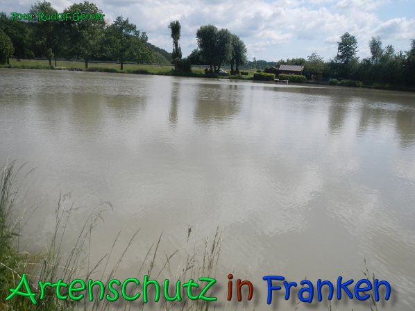 Copyright AiS Gerner Bild zum Eintrag (66513-160)