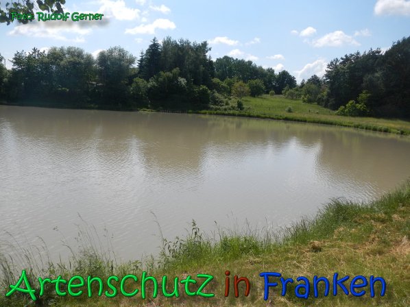 Copyright AiS Gerner Bild zum Eintrag (66514-160)