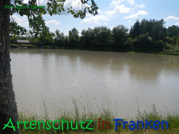 Copyright AiS Gerner Bild zum Eintrag (66515-160)