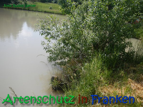Copyright AiS Gerner Bild zum Eintrag (66516-160)
