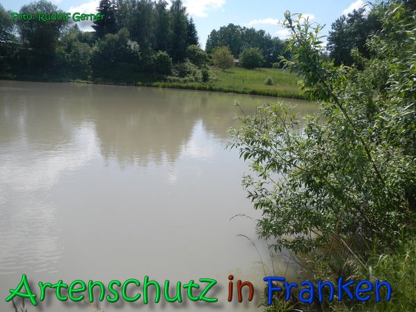 Copyright AiS Gerner Bild zum Eintrag (66518-160)